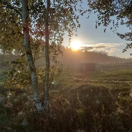 Pod żurawiem Urokliwy Na Kaszubach *