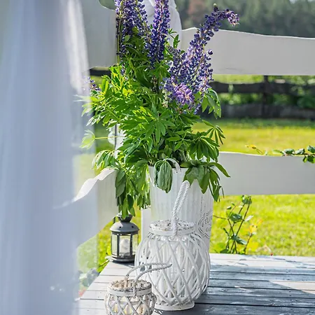 Pod Zurawiem Urokliwy Na Kaszubach Ferienhaus *