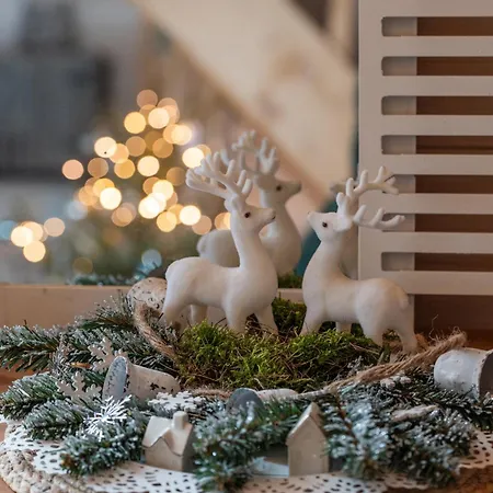 Pod Zurawiem Urokliwy Na Kaszubach Michalin