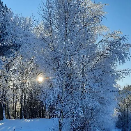 Pod Zurawiem Urokliwy Na Kaszubach Ferienhaus