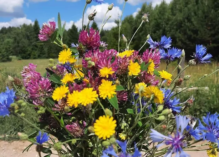 Prázdninový dům Pod Zurawiem Urokliwy Na Kaszubach