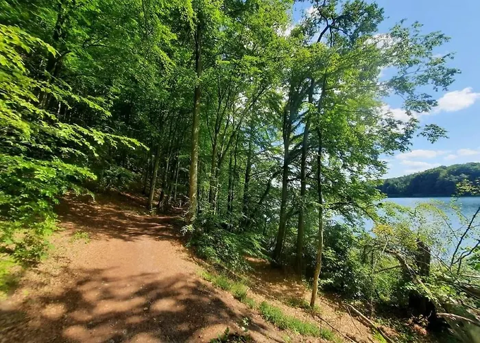 Pod Zurawiem Urokliwy Na Kaszubach * Michalin