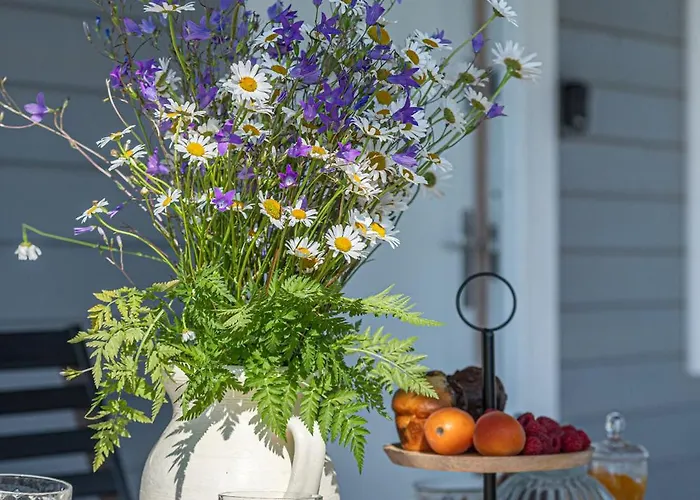 Pod Zurawiem Urokliwy Na Kaszubach * Michalin