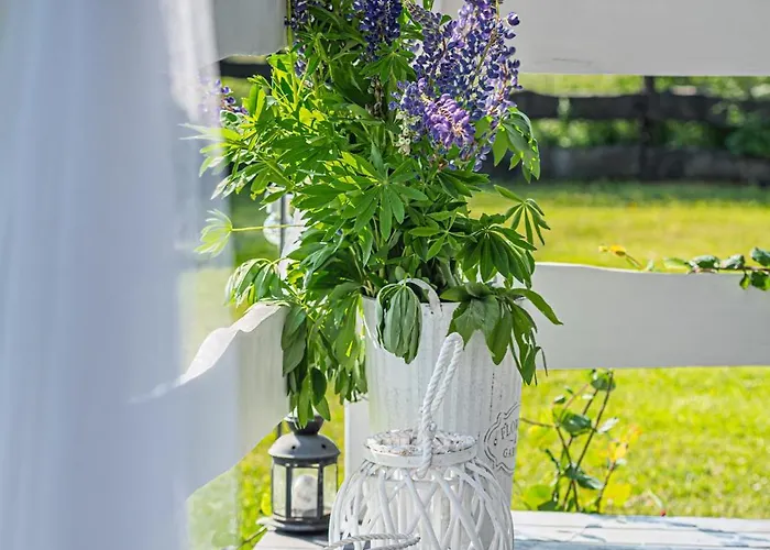 Pod Zurawiem Urokliwy Na Kaszubach Prázdninový dům *