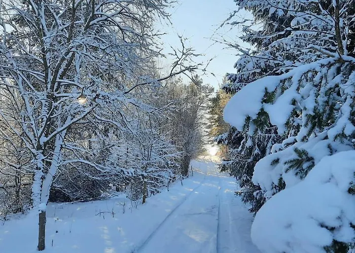 Pod Zurawiem Urokliwy Na Kaszubach