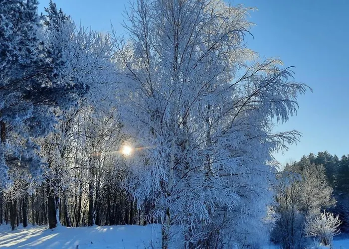 Pod Zurawiem Urokliwy Na Kaszubach Prázdninový dům